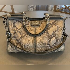 Coach Snakeskin Pattern Bag in Gray and Cream